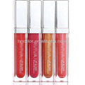 Traditional Color Popular Lip Gloss